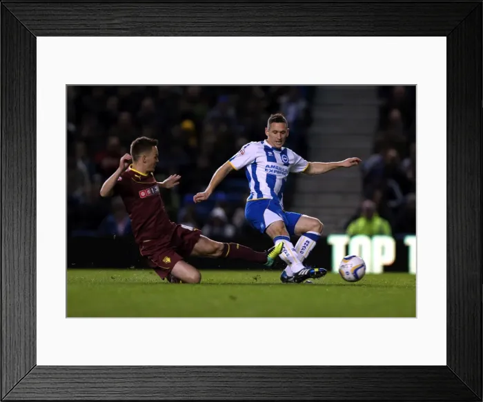 Framed Print : Brighton & Hove Albion vs. Watford: Fright Night (28-10-2013) Framed Print : Brighton & Hove Albion vs. Watford: Fright Night (28-10-2013)