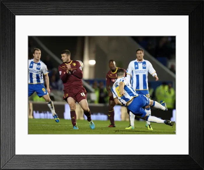 Framed Print : Brighton & Hove Albion vs. Watford (Fright Night): 2013-14 Season Home Game Framed Print : Brighton & Hove Albion vs. Watford (Fright Night): 2013-14 Season Home Game