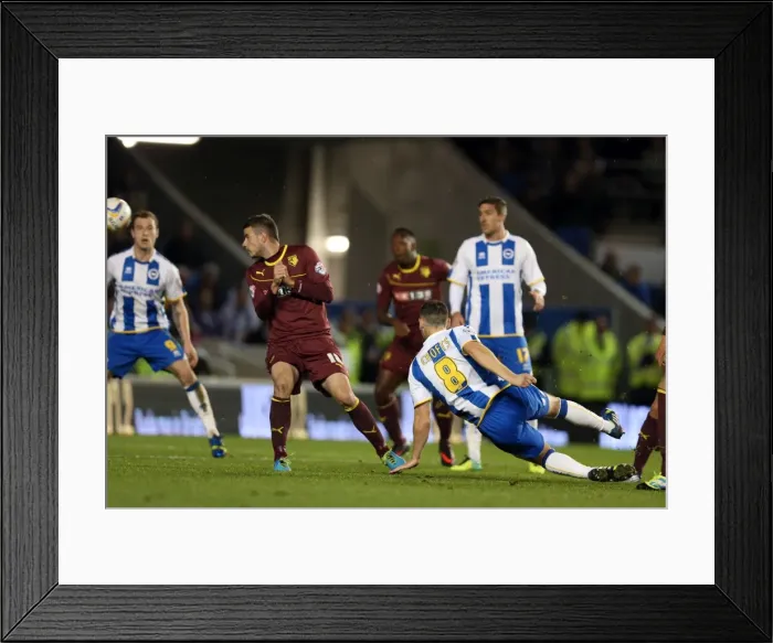 Framed Print : Brighton & Hove Albion vs. Watford (28-10-2013): Fright Night Home Game