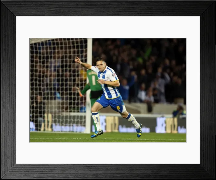 Framed Print : Brighton & Hove Albion vs. Watford (28-10-2013): Fright Night Home Game