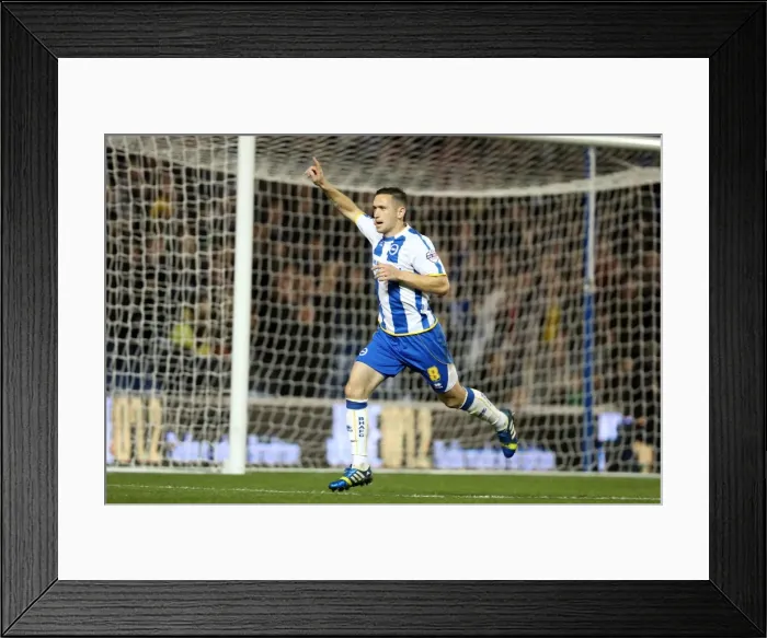 Framed Print : Brighton & Hove Albion vs. Watford (28-10-2013): Fright Night Home Game Framed Print : Brighton & Hove Albion vs. Watford (28-10-2013): Fright Night Home Game