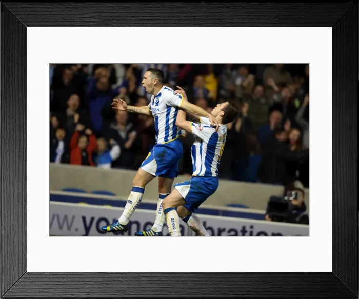 Framed Print : Fright Night: Brighton & Hove Albion vs. Watford (2013-14) Framed Print : Fright Night: Brighton & Hove Albion vs. Watford (2013-14)