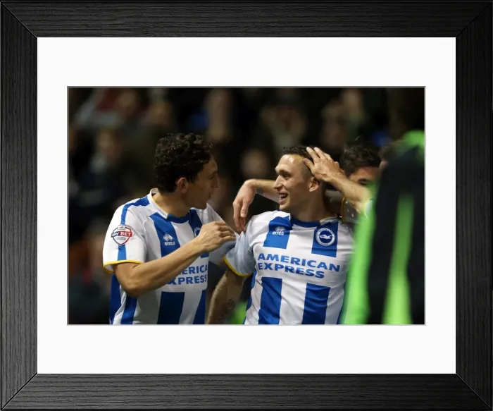 Framed Print : Brighton & Hove Albion vs. Watford: Fright Night (28-10-2013) Framed Print : Brighton & Hove Albion vs. Watford: Fright Night (28-10-2013)