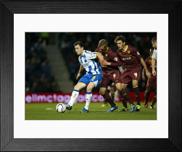 Framed Print : Brighton & Hove Albion vs. Watford (28-10-2013): Fright Night Home Game Framed Print : Brighton & Hove Albion vs. Watford (28-10-2013): Fright Night Home Game