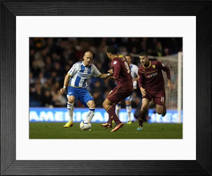 Framed Print : Brighton & Hove Albion vs. Watford (28-10-2013): Fright Night Home Game