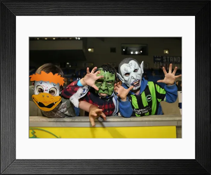 Framed Print : Brighton & Hove Albion vs. Watford (28-10-2013): Fright Night Home Game Framed Print : Brighton & Hove Albion vs. Watford (28-10-2013): Fright Night Home Game