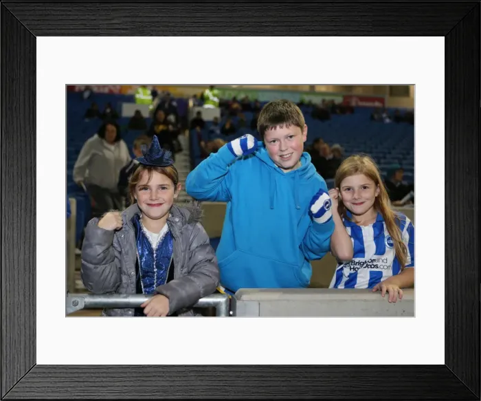 Framed Print : Brighton & Hove Albion vs. Watford (28-10-2013): Fright Night Home Game Framed Print : Brighton & Hove Albion vs. Watford (28-10-2013): Fright Night Home Game