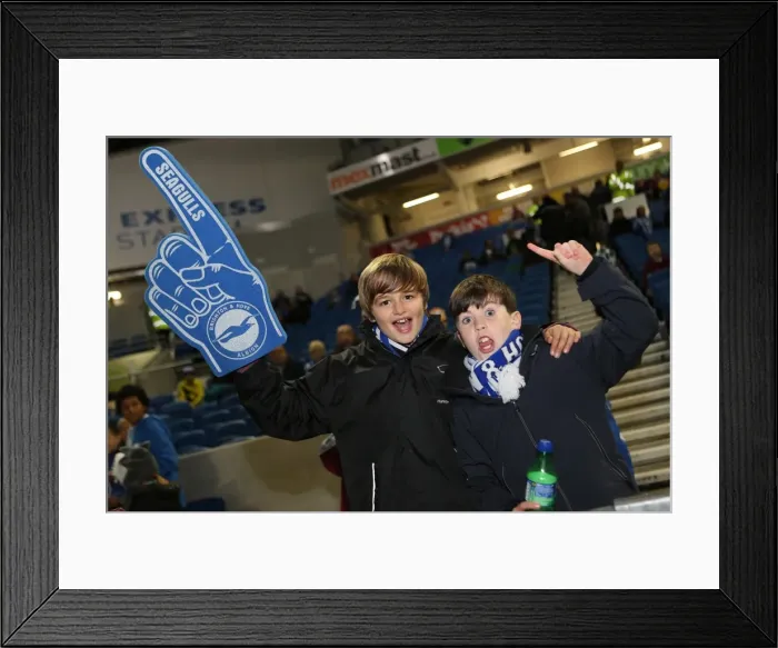 Framed Print : Brighton & Hove Albion vs. Watford (28-10-2013): Fright Night Home Game