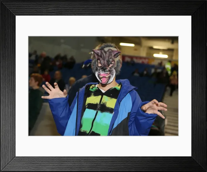 Framed Print : Brighton & Hove Albion vs. Watford: Fright Night (28-10-2013)