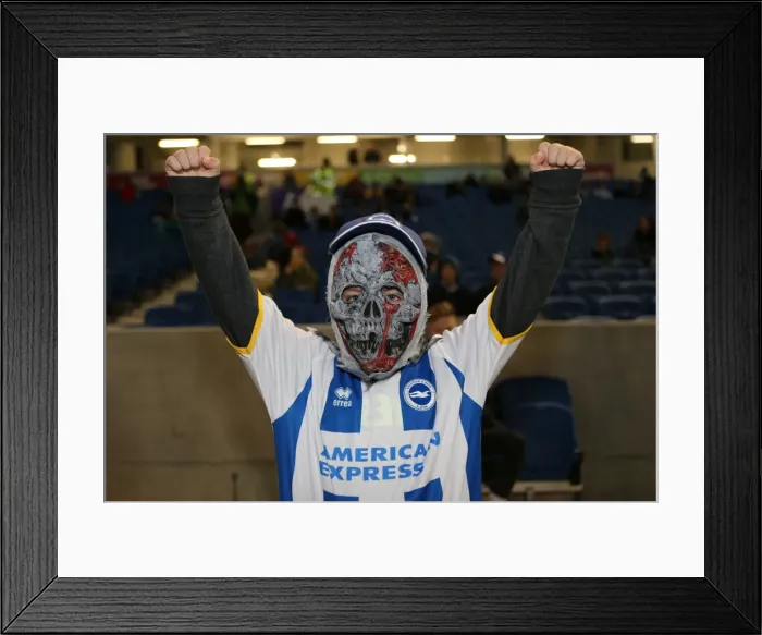 Framed Print : Fright Night: Brighton & Hove Albion vs. Watford (2013-14 Season) - Home Game Framed Print : Fright Night: Brighton & Hove Albion vs. Watford (2013-14 Season) - Home Game