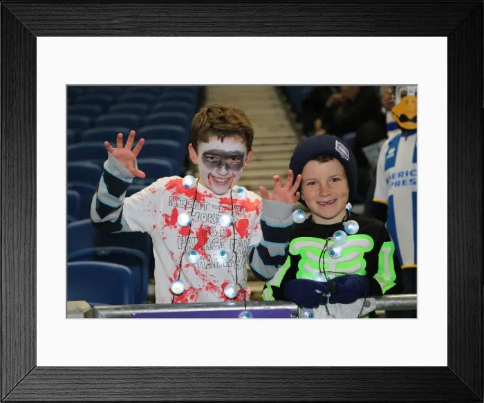 Framed Print : Brighton & Hove Albion vs. Watford (2013-14 Season): Fright Night Home Game Framed Print : Brighton & Hove Albion vs. Watford (2013-14 Season): Fright Night Home Game