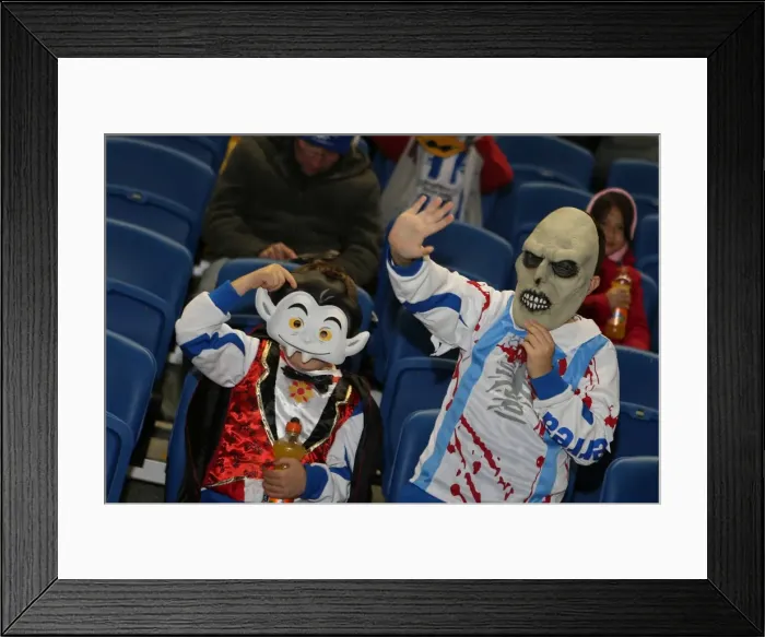 Framed Print : Brighton & Hove Albion vs. Watford (28-10-2013): Fright Night Home Game Framed Print : Brighton & Hove Albion vs. Watford (28-10-2013): Fright Night Home Game