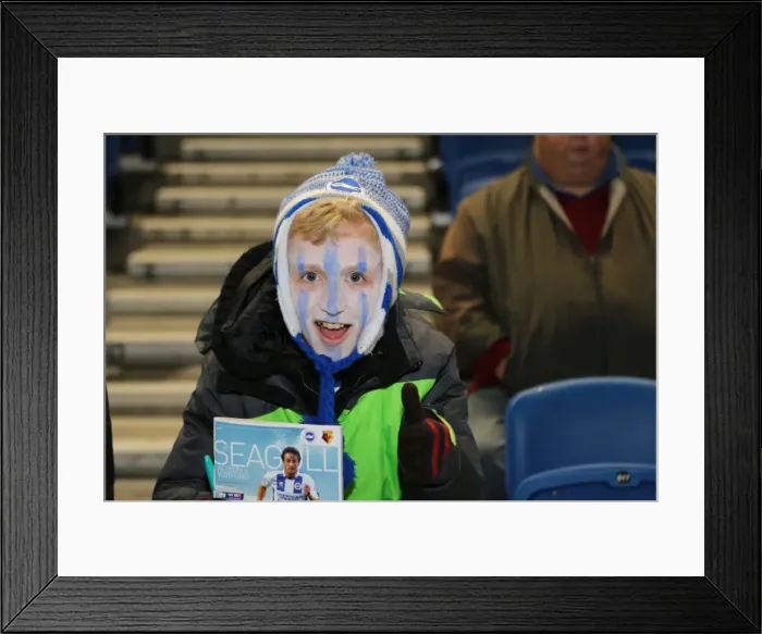 Framed Print : Brighton & Hove Albion vs. Watford (2013-10-28) - Fright Night Home Game Framed Print : Brighton & Hove Albion vs. Watford (2013-10-28) - Fright Night Home Game