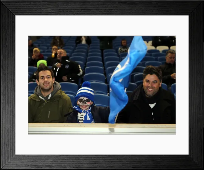 Framed Print : Brighton & Hove Albion vs. Watford: Fright Night (2013-10-28) Framed Print : Brighton & Hove Albion vs. Watford: Fright Night (2013-10-28)