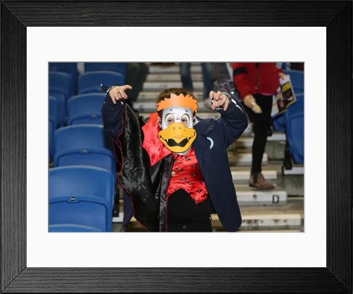 Framed Print : Brighton & Hove Albion vs. Watford (28-10-2013): Fright Night Home Game