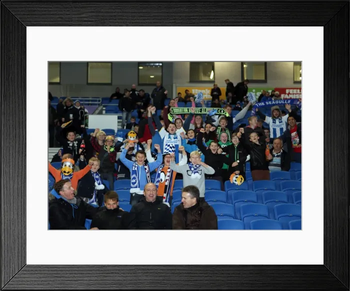 Framed Print : Brighton & Hove Albion vs. Watford (28-10-2013): Fright Night Home Game Framed Print : Brighton & Hove Albion vs. Watford (28-10-2013): Fright Night Home Game