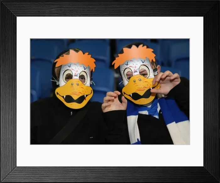 Framed Print : Brighton & Hove Albion vs. Watford (28-10-2013): Fright Night Home Game Framed Print : Brighton & Hove Albion vs. Watford (28-10-2013): Fright Night Home Game