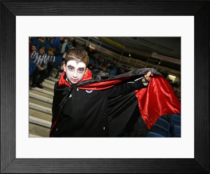 Framed Print : Brighton & Hove Albion vs. Watford (28-10-2013): Fright Night Home Game Framed Print : Brighton & Hove Albion vs. Watford (28-10-2013): Fright Night Home Game
