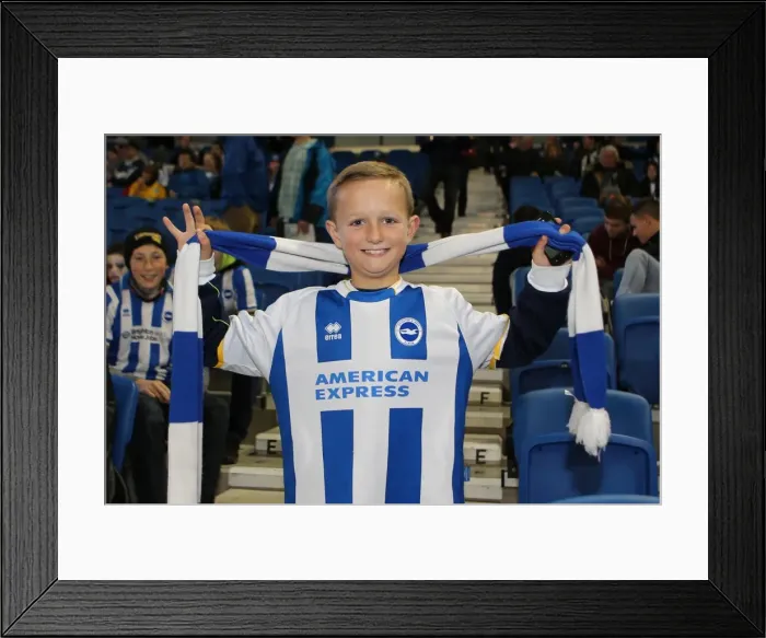 Framed Print : Brighton & Hove Albion vs. Watford (28-10-2013): Fright Night Home Game Framed Print : Brighton & Hove Albion vs. Watford (28-10-2013): Fright Night Home Game