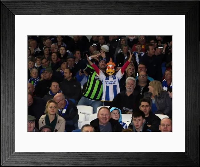 Framed Print : Brighton & Hove Albion vs. Watford (28-10-2013): Fright Night Home Game Framed Print : Brighton & Hove Albion vs. Watford (28-10-2013): Fright Night Home Game
