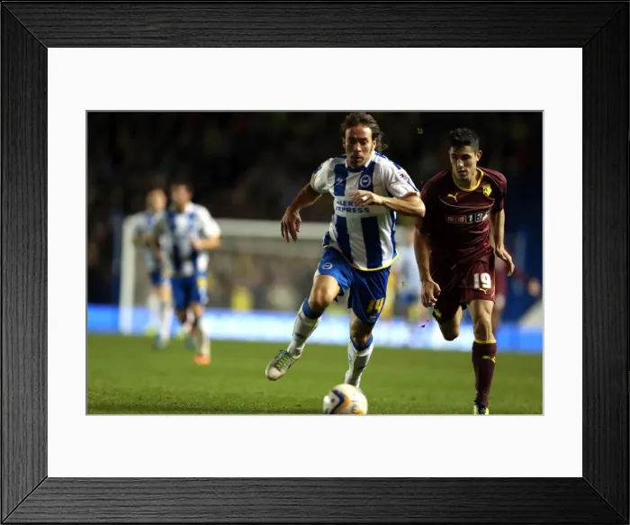 Framed Print : Brighton & Hove Albion vs. Watford (28-10-2013): Fright Night Home Game