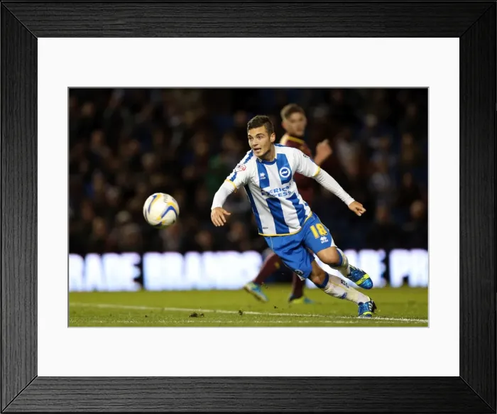 Framed Print : Brighton & Hove Albion vs. Watford (28-10-2013): Fright Night Home Game Framed Print : Brighton & Hove Albion vs. Watford (28-10-2013): Fright Night Home Game