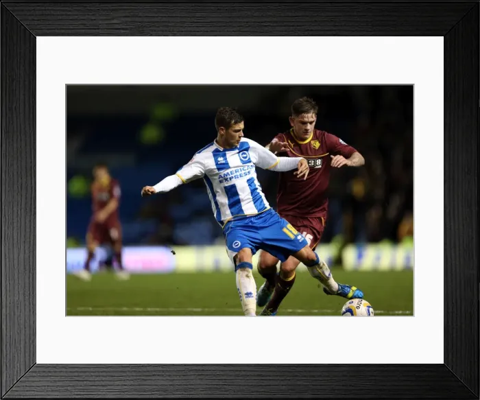Framed Print : Brighton & Hove Albion vs. Watford (28-10-2013): Fright Night Home Game Framed Print : Brighton & Hove Albion vs. Watford (28-10-2013): Fright Night Home Game