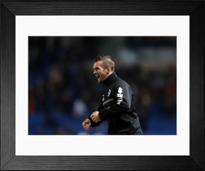 Framed Print : Brighton & Hove Albion vs. Watford (2013-10-28) - Fright Night Home Game Framed Print : Brighton & Hove Albion vs. Watford (2013-10-28) - Fright Night Home Game