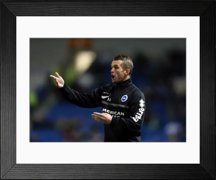 Framed Print : Brighton & Hove Albion vs. Watford (28-10-2013): Fright Night Home Game Framed Print : Brighton & Hove Albion vs. Watford (28-10-2013): Fright Night Home Game