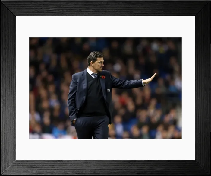 Framed Print : Brighton & Hove Albion vs. Watford (2013-14): Fright Night Home Game