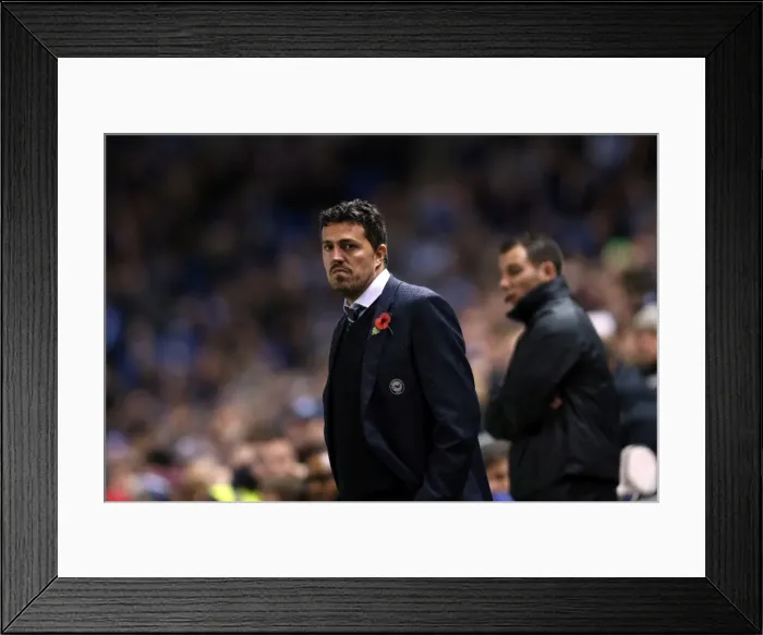 Framed Print : Brighton & Hove Albion vs. Watford: Fright Night (2013-10-28)
