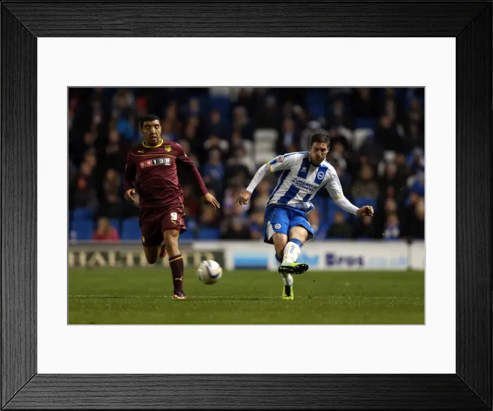 Framed Print : Brighton & Hove Albion vs. Watford (28-10-2013): Fright Night Home Game Framed Print : Brighton & Hove Albion vs. Watford (28-10-2013): Fright Night Home Game