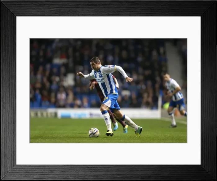Framed Print : Brighton & Hove Albion vs. Watford (28-10-2013): Fright Night Home Game Framed Print : Brighton & Hove Albion vs. Watford (28-10-2013): Fright Night Home Game