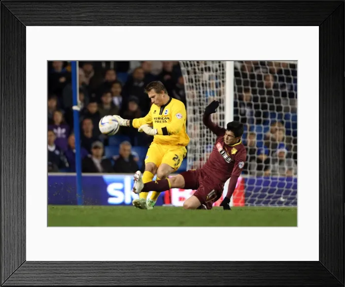 Framed Print : Brighton & Hove Albion vs. Watford (28-10-2013): Fright Night Home Game Framed Print : Brighton & Hove Albion vs. Watford (28-10-2013): Fright Night Home Game