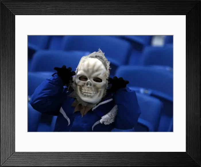Framed Print : Brighton & Hove Albion vs. Watford (28-10-2013): Fright Night Home Game Framed Print : Brighton & Hove Albion vs. Watford (28-10-2013): Fright Night Home Game