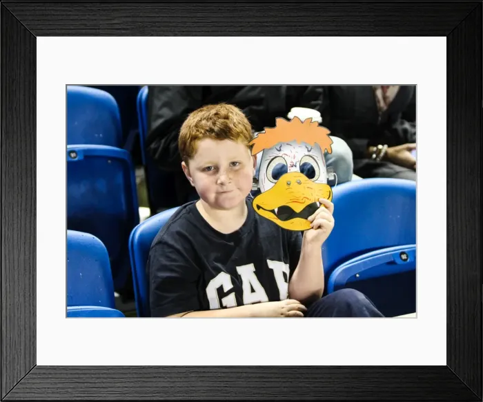 Framed Print : Brighton & Hove Albion vs. Watford (28-10-2013): Fright Night Home Game Framed Print : Brighton & Hove Albion vs. Watford (28-10-2013): Fright Night Home Game
