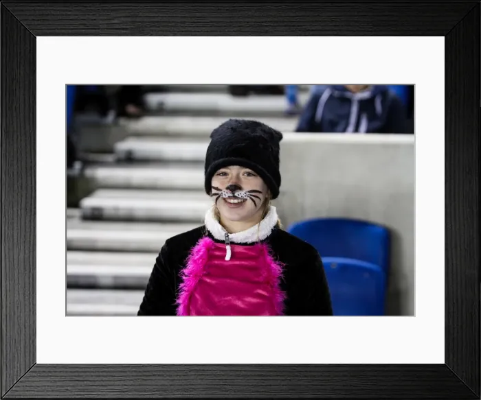 Framed Print : Fright Night: Brighton & Hove Albion vs. Watford (28-10-2013) Framed Print : Fright Night: Brighton & Hove Albion vs. Watford (28-10-2013)
