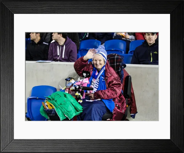 Framed Print : Brighton & Hove Albion vs. Watford: Fright Night (2013-10-28) Framed Print : Brighton & Hove Albion vs. Watford: Fright Night (2013-10-28)