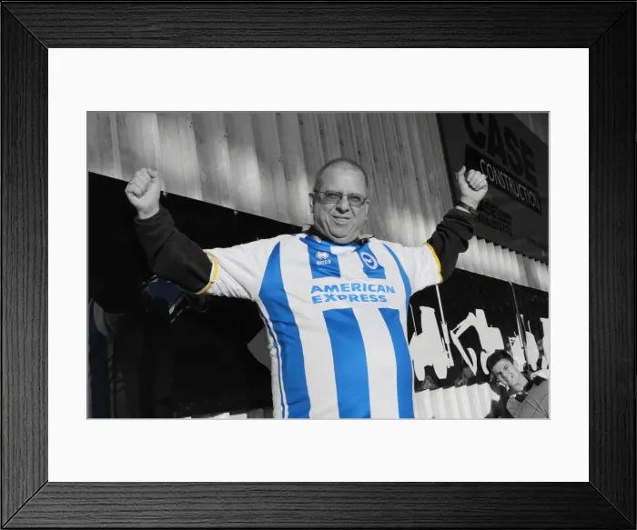 Framed Print : Brighton & Hove Albion vs Doncaster Rovers (Away): 02-11-2013 - 2013-14 Season Framed Print : Brighton & Hove Albion vs Doncaster Rovers (Away): 02-11-2013 - 2013-14 Season