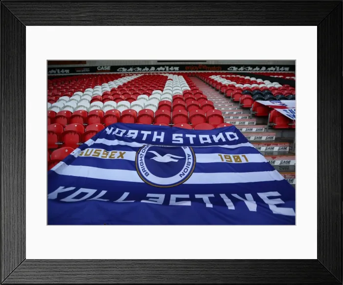 Framed Print : Brighton & Hove Albion vs Doncaster Rovers: 2013-14 Season Away Game (02-11-2013) Framed Print : Brighton & Hove Albion vs Doncaster Rovers: 2013-14 Season Away Game (02-11-2013)