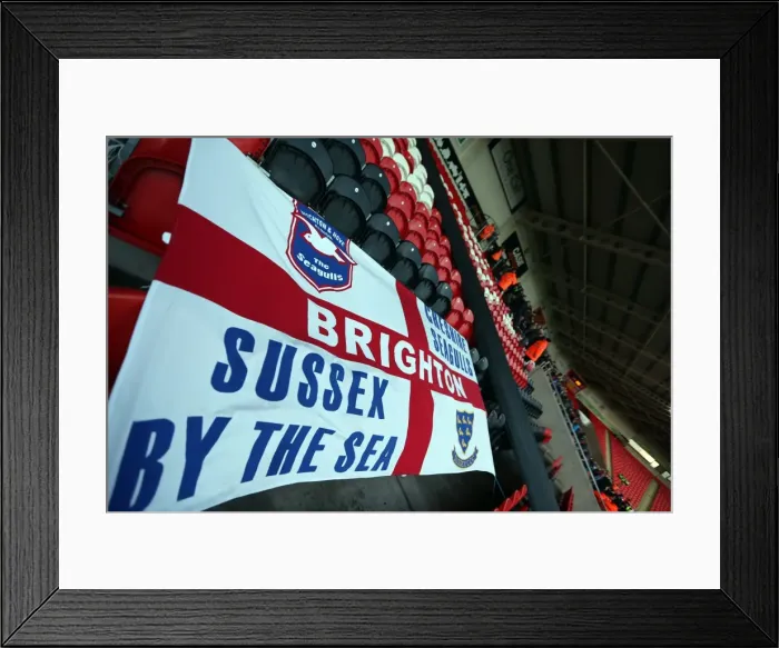 Framed Print : Brighton & Hove Albion vs Doncaster Rovers (Away) - 02-11-2013: 2013-14 Season Away Game Framed Print : Brighton & Hove Albion vs Doncaster Rovers (Away) - 02-11-2013: 2013-14 Season Away Game