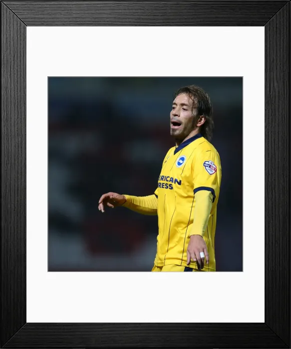 Framed Print : Brighton & Hove Albion vs Doncaster Rovers: Away Game - November 2013 Framed Print : Brighton & Hove Albion vs Doncaster Rovers: Away Game - November 2013