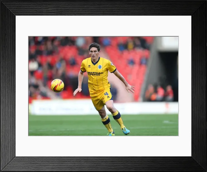 Framed Print : Brighton & Hove Albion vs Doncaster Rovers (Away Game - 02-11-2013, 2013-14 Season) Framed Print : Brighton & Hove Albion vs Doncaster Rovers (Away Game - 02-11-2013, 2013-14 Season)
