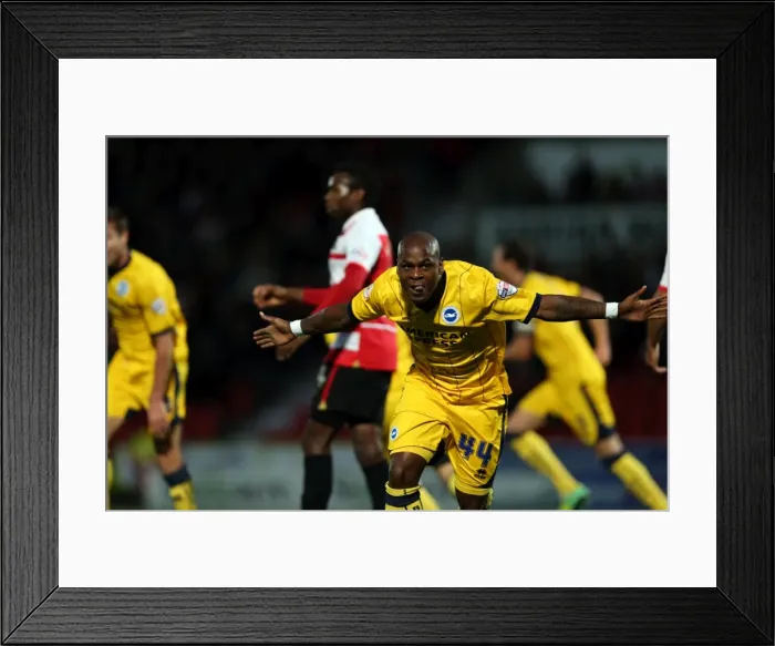 Framed Print : Brighton & Hove Albion vs Doncaster Rovers: 2013-14 Season Away Game Framed Print : Brighton & Hove Albion vs Doncaster Rovers: 2013-14 Season Away Game