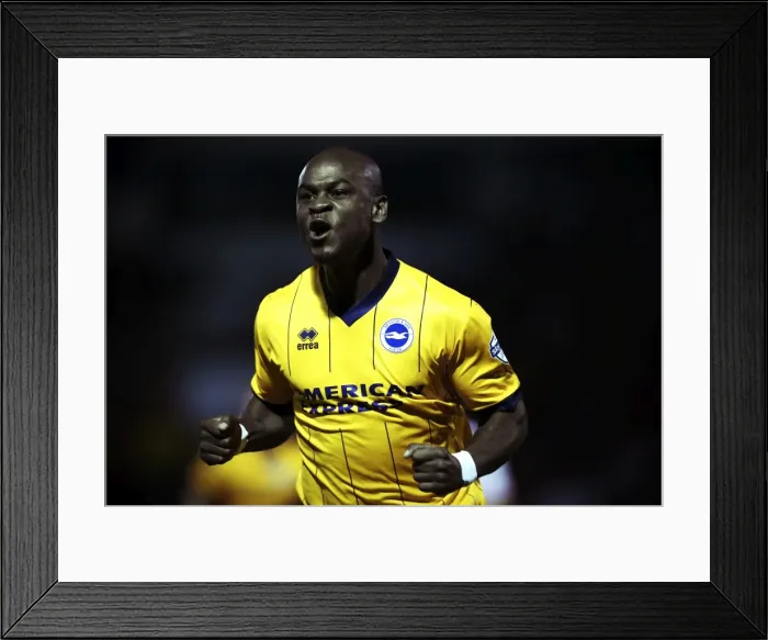 Framed Print : Brighton & Hove Albion vs Doncaster Rovers: 2013-14 Away Game Framed Print : Brighton & Hove Albion vs Doncaster Rovers: 2013-14 Away Game