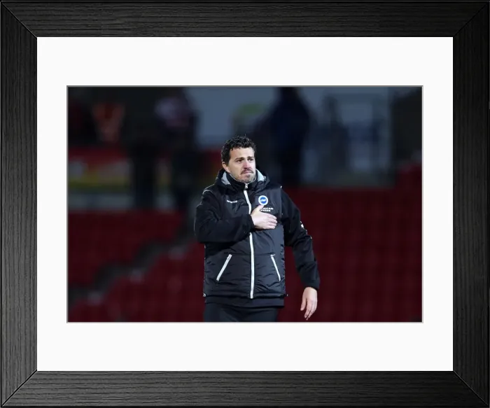 Framed Print : Brighton & Hove Albion vs Doncaster Rovers (Away) - 02-11-2013: Season 2013-14, Away Game Framed Print : Brighton & Hove Albion vs Doncaster Rovers (Away) - 02-11-2013: Season 2013-14, Away Game