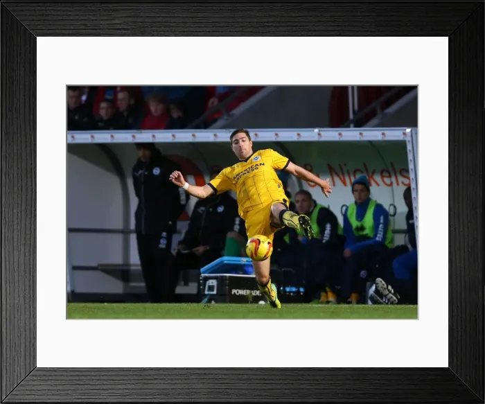 Framed Print : Brighton & Hove Albion vs Doncaster Rovers: 2013-14 Away Game (02-11-2013) Framed Print : Brighton & Hove Albion vs Doncaster Rovers: 2013-14 Away Game (02-11-2013)
