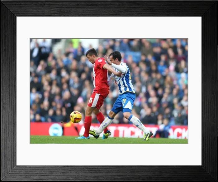 Framed Print : Brighton & Hove Albion vs. Blackburn Rovers (2013-14 Season) - A Home Game: Blackburn Rovers (November 9, 2013) Framed Print : Brighton & Hove Albion vs. Blackburn Rovers (2013-14 Season) - A Home Game: Blackburn Rovers (November 9, 2013)