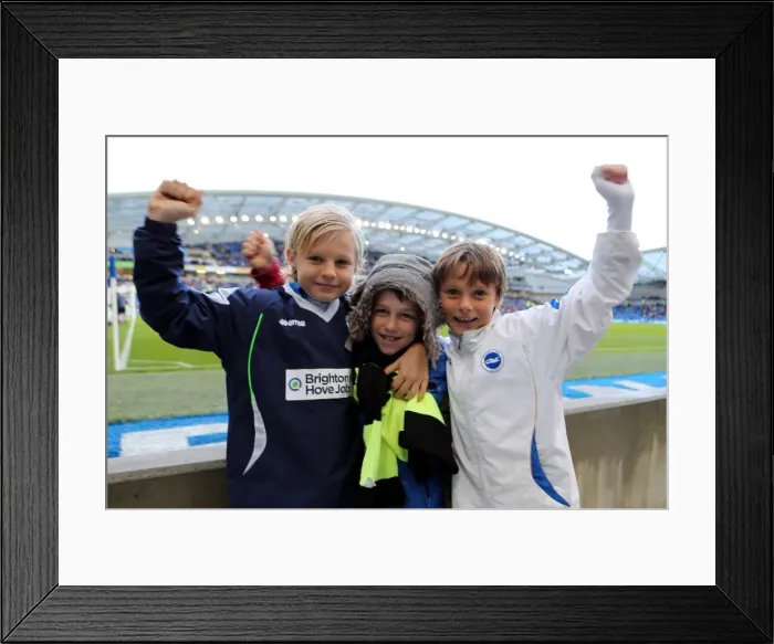 Framed Print : Brighton & Hove Albion vs. Blackburn Rovers (2013-14): A Home Game Framed Print : Brighton & Hove Albion vs. Blackburn Rovers (2013-14): A Home Game