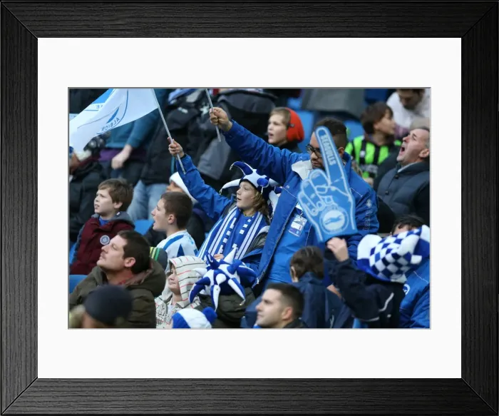 Framed Print : Brighton & Hove Albion vs. Blackburn Rovers (2013-11-09) - A Home Game from the 2013-14 Season Framed Print : Brighton & Hove Albion vs. Blackburn Rovers (2013-11-09) - A Home Game from the 2013-14 Season